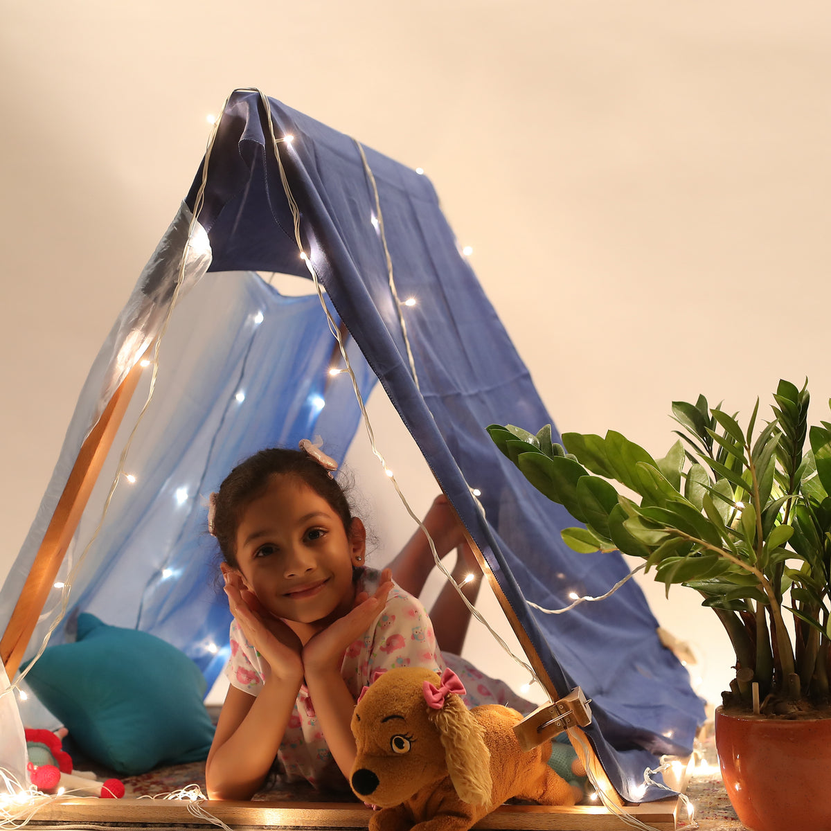 Play Tent Frames